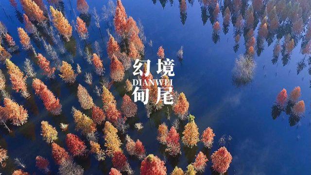 梅西全场数据：1球1助攻，3次成功过人，获评8.1分全队最高
